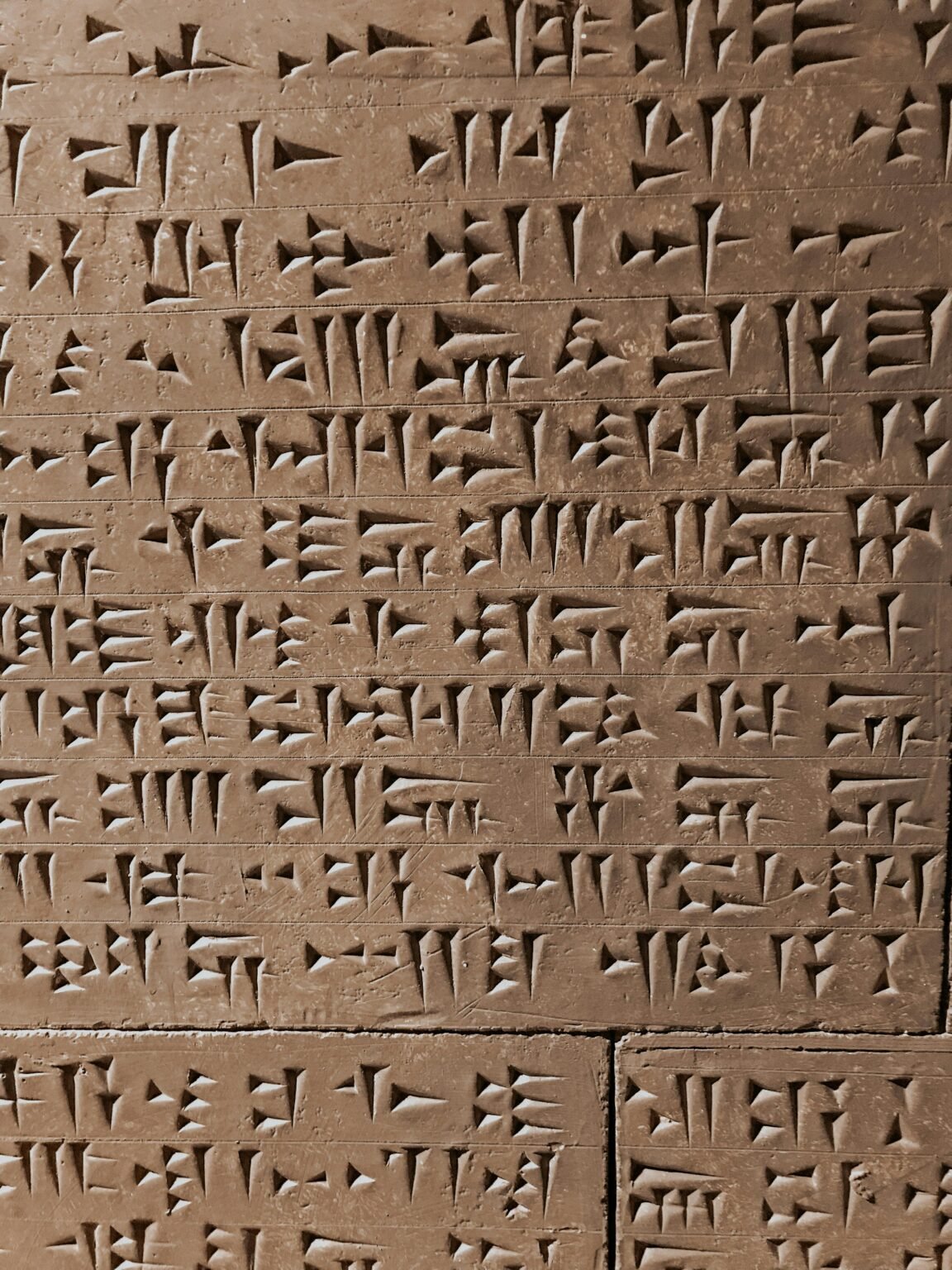 pexels bilgekutukoglu 8349847